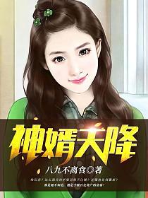 天降神婿神婿