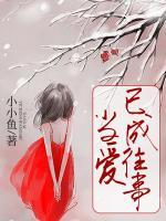 当爱已成往事演员表