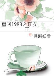 重回1988之IT女王txt资源