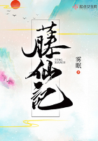 藤仙记TXT