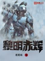 黎明赤辉写的好看吗