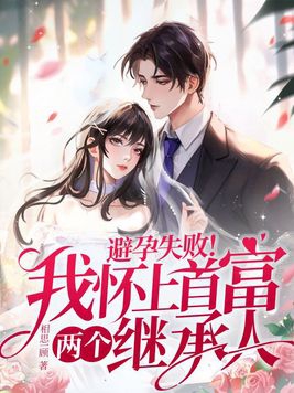 避孕失败我怀上首富两个继承人558