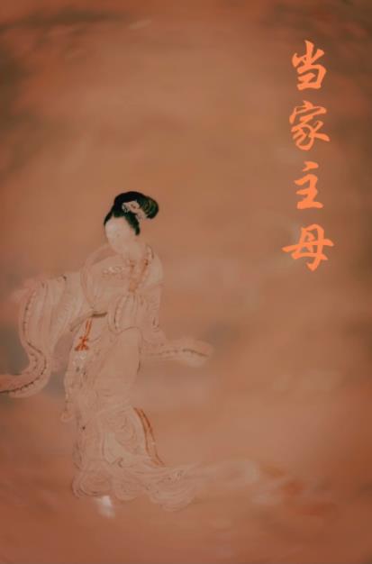 重生之当家主母txt