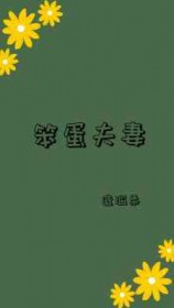 笨蛋夫妻by