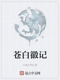 苍白徽记半精灵等级与人类骑士