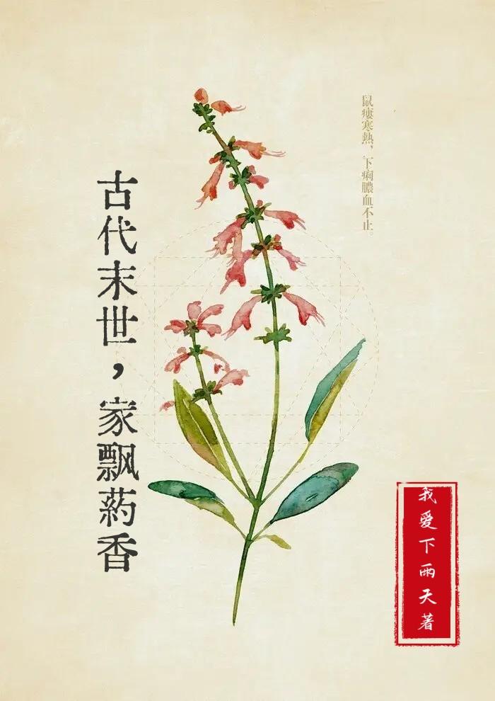 穿越末世带领全家自救