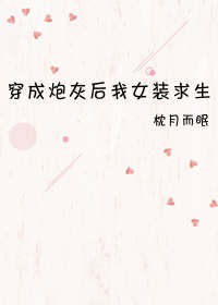 穿成炮灰女配后我女扮男装了故筝