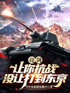 亮剑让你抗战没让打到东京 少年从此披星戴月