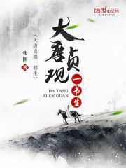 大唐贞观一书生李