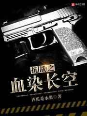 抗战之血染长空讲的什么