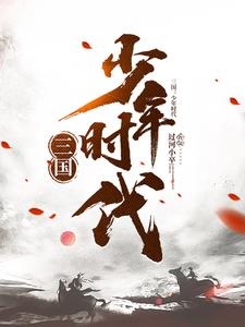 三国少年将军