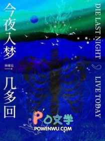 今夜入梦几多回by林啸也txt